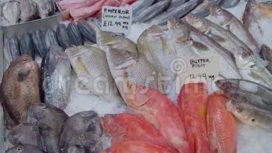 放大各种冰上鱼，展示在英国的鱼贩里